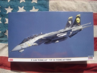 HSG00831  F-14D TOMCAT 'Tomcatters'